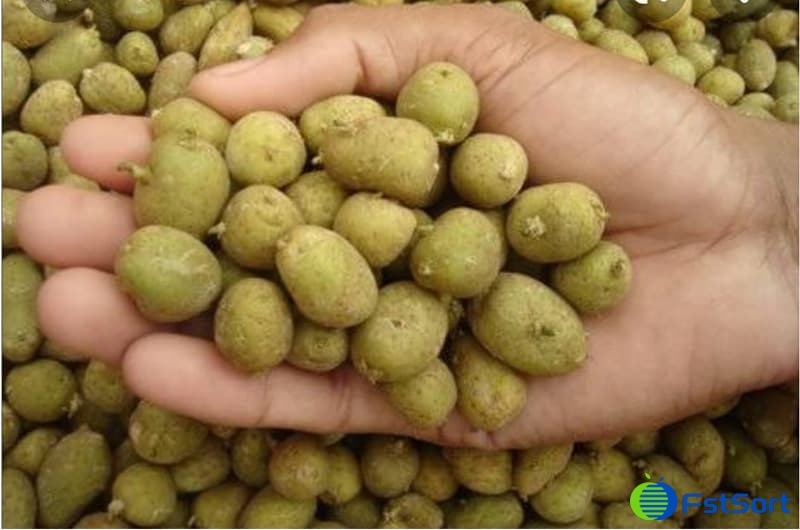 images/1657699543901potato grader.jpg